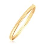 Classic Bangle 14k Yellow Gold (5.00 mm)