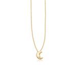 14k Yellow Gold Polished Moon Necklace with Diamond 14k Yellow Gold Polished Moon Necklace with Diamond