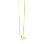 14K Yellow Gold Capricorn Necklace