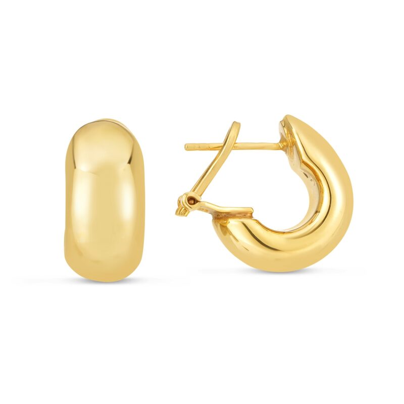 14k Gold Small Omega C Hoops