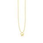 14k Yellow Gold Star Necklace with Diamond Polished