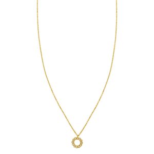 14K Yellow Gold Petite Diamond Circle Necklace