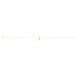 Minimalist Shell Anklet 14K Yellow Gold 9 Inch