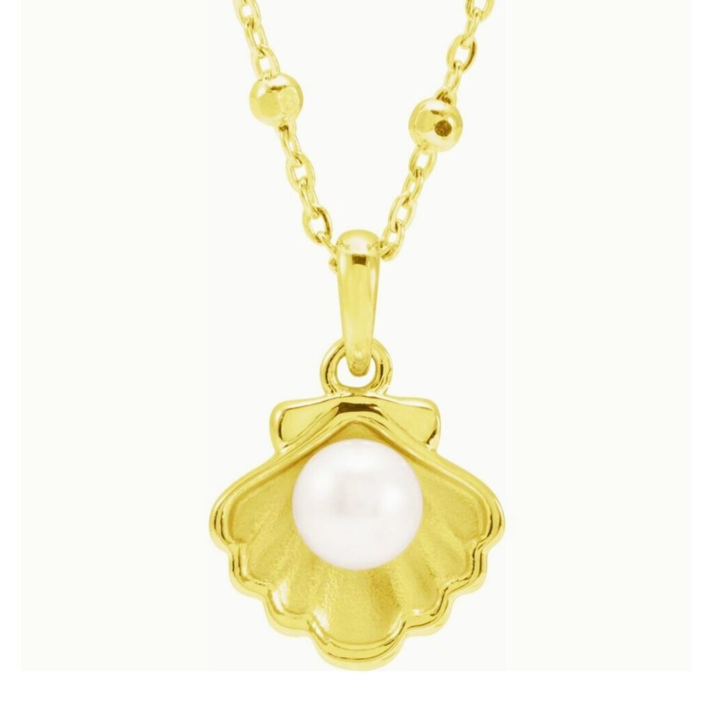 Pearl in Shell Necklace 14K Yellow Gold 18 Inch