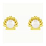 Pearl in Shell Stud Earrings 14K Gold