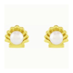 Pearl in Shell Stud Earrings 14K Gold