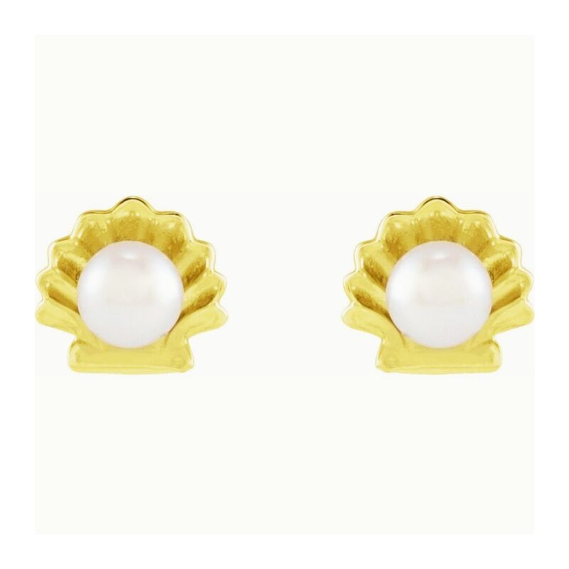 Pearl in Shell Stud Earrings 14K Gold