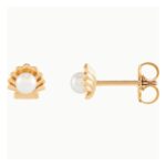 Pearl in Shell Stud Earrings 14K Rose Gold