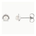 Pearl in Shell Stud Earrings 14K White Gold