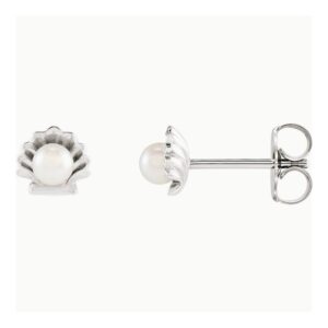 Pearl in Shell Stud Earrings 14K White Gold