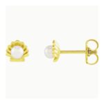 Pearl in Shell Stud Earrings 14K Yellow Gold