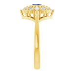 Tanzanite and Diamond Halo Ring 3 8 Carat 14K Gold Front View Tanzanite and Diamond Halo Ring 3 8 Carat 14K Gold Front View