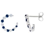 Diamond and Blue Sapphire Front to Back Hoop Earrings 14K White Gold Diamond and Blue Sapphire Front to Back Hoop Earrings 14K White Gold