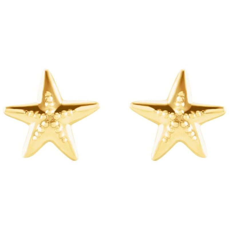 Small Starfish Stud Earrings 14K Gold