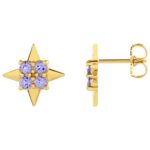 Natural Tanzanite 4 Point Star Stud Earrings 14K Yellow Gold Natural Tanzanite 4 Point Star Stud Earrings 14K Yellow Gold