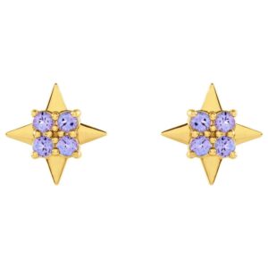 Natural Tanzanite 4 Point Star Stud Earrings