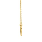 Real 14k Yellow Gold Shark Tooth Necklace Thickness Real 14k Yellow Gold Shark Tooth Necklace Thickness