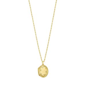 Sterling Silver 14K Gold Plated Oval Vine Locket Necklace